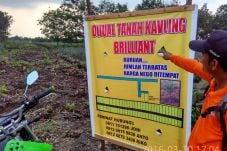 Pembukaan Lahan Kavling...