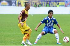Militancy Bobotoh Persib...