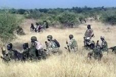 Tentara Nigeria Bebaskan...