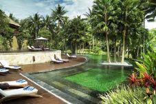 Ubud Bali Masuk Daftar...