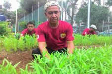 Ikut Pelatihan Bertani,...
