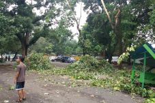 Dihantam Puting Beliung,...