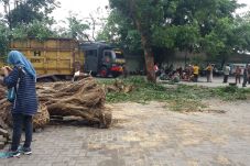 Diterjang Puting Beliung,...