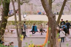 Suzy Bae dan Kim Woo...