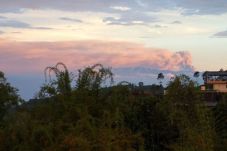 Terdampak Abu Gunung...