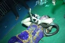 Irma Bule Tewas, Dangdut...