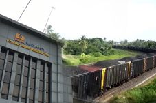 PTBA Incar Penjualan...