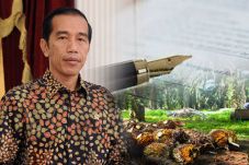 Jokowi Siapkan Moratorium...