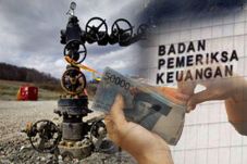 Diduga Menyimpang, BPK...