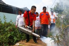 DBD Mewabah, Rescue...