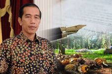 Terkait Moratorium Sawit,...