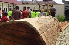 13 Pelaku Illegal Logging...