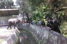Kembangkan Kecakapan,...
