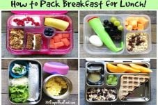 Tips Membawa Bekal Makan...
