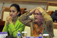 Bilang Hak Asasi Monyet,...