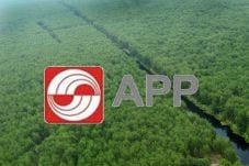 APP Dorong Keberlanjutan...