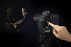 Canon EOS 1D X Mark...