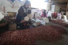 Asosiasi Bawang Merah...