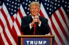 Dibilang Bodoh, Donald...