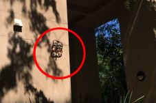 Drone Baru, Bisa Mendarat...