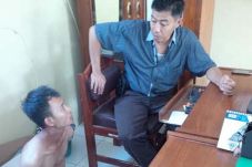 Pegawai Dinas Pertamanan...