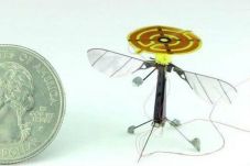 Robo-Bee, Drone Paling...