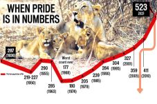 Pride Caged After Gujarat...