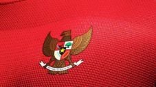 Jelang Piala AFF, PSSI...