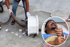 Thailand Man Penis Bites...