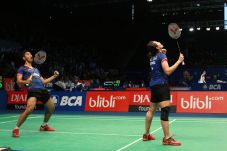 Ganda Belia Indonesia...