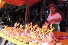 Harga Daging Ayam dan...