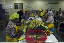 Industri Jamu Nasional...