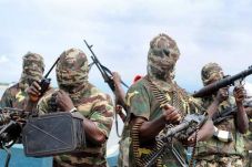 Boko Haram Serang Wilayah...