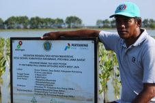 Lestarikan Hutan Mangrove,...
