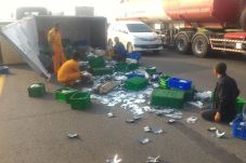 Truk Berisi Lempengan...
