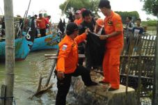 Berenang di Muara Sungai,...