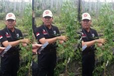 Polisi Temukan Ladang...
