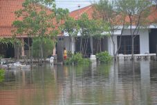 Banjir Rob Genangi Ribuan...