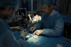 Dokter China Siap Cangkok...