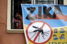 Waswas Virus Zika, Australia...
