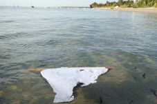 Lagi, Diduga Puing MH370...