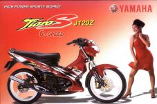Jejak Ayam Jago di Indonesia