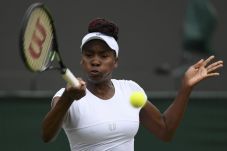 Venus Williams Perempat...