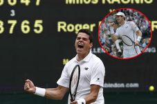 Ketemu di Final, Raonic...