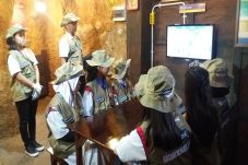 Pentingnya Edukasi Anak...