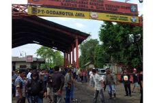 PT Godang Tua Jaya Ditenggat...