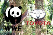 Toyota Dukung Living...