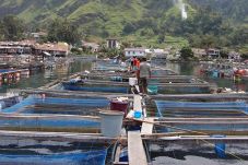 Dukung Wisata Toba,...