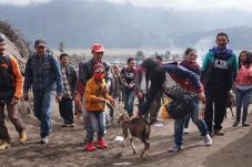 Ritual Suku Tengger...