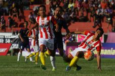 Persepam vs Persik:...